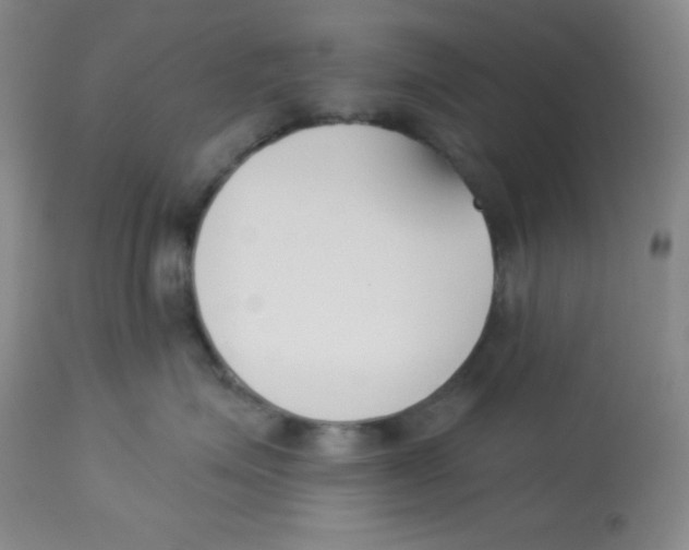 X0000113740623200910211126
