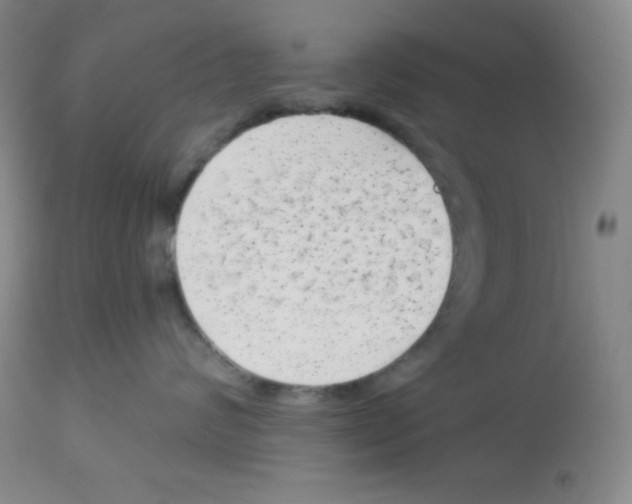 X0000113740624200910211126