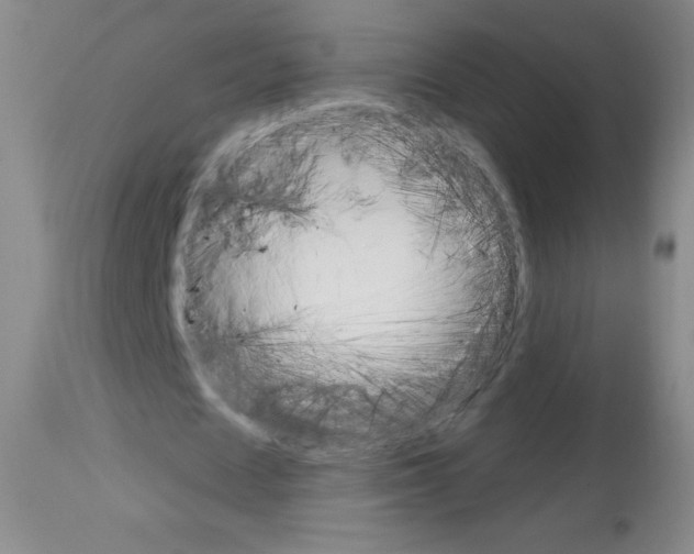 X0000113740625200910211125