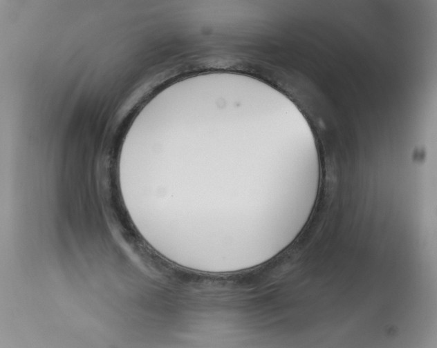 X0000113740626200910211125