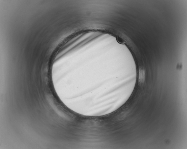X0000113740627200910211125