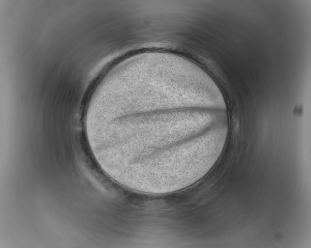 X0000113740628200910211125