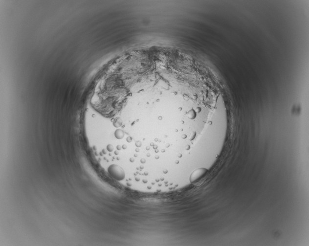 X0000113740629200910211125
