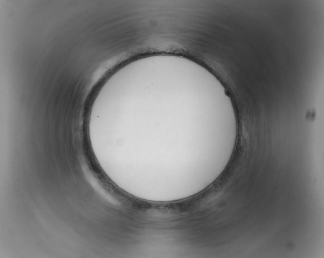 X0000113740630200910211125