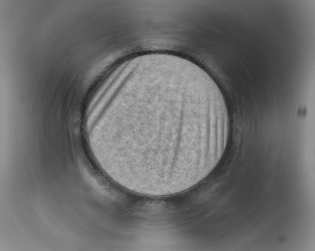 X0000113740631200910211125