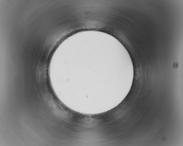 X0000113740632200910211125