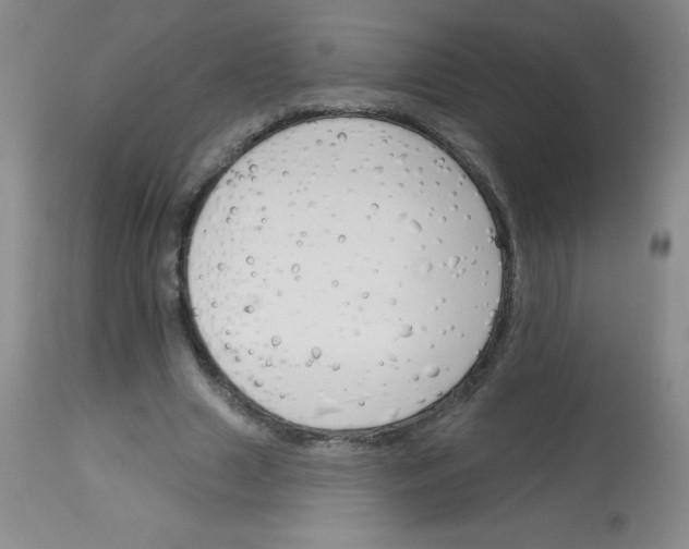 X0000113740633200910211125