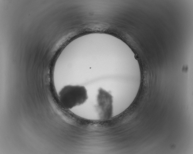 X0000113740634200910211125