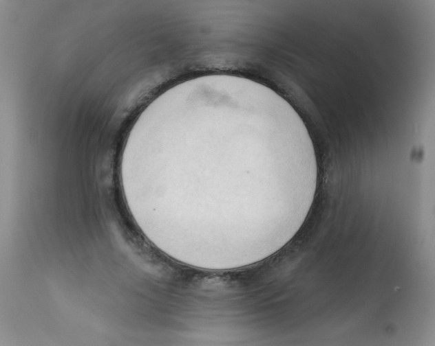 X0000113740635200910211125