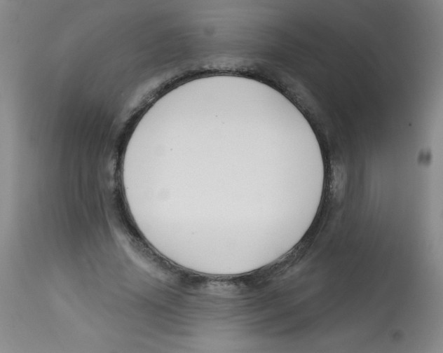 X0000113740636200910211125