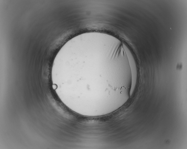 X0000113740637200910211125