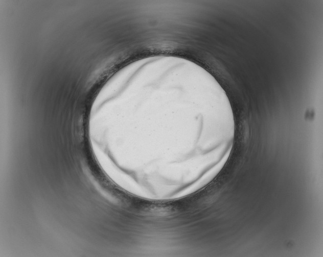X0000113740638200910211125