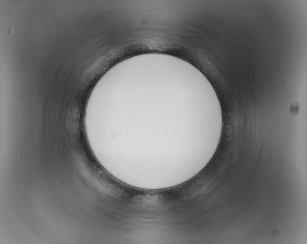 X0000113740639200910211125