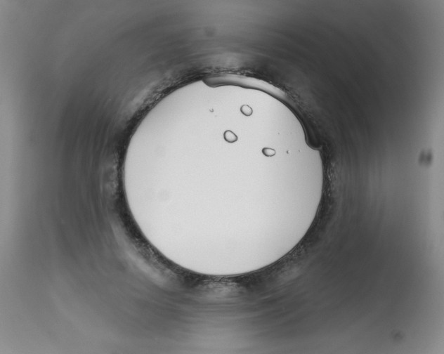 X0000113740642200910211125