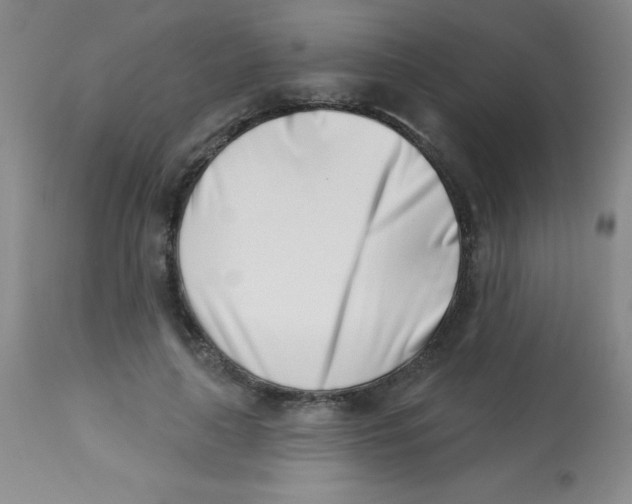 X0000113740643200910211125
