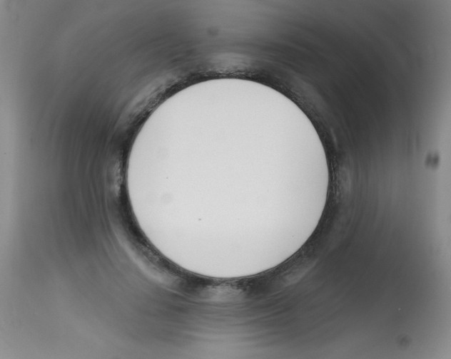 X0000113740644200910211125