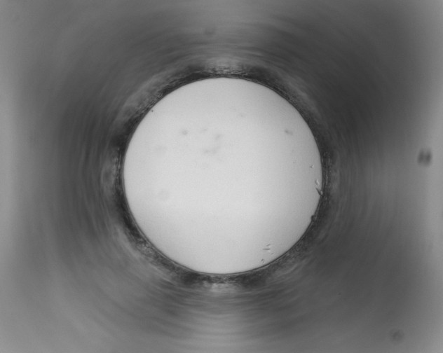 X0000113740645200910211125