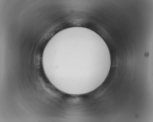 X0000113740646200910211125