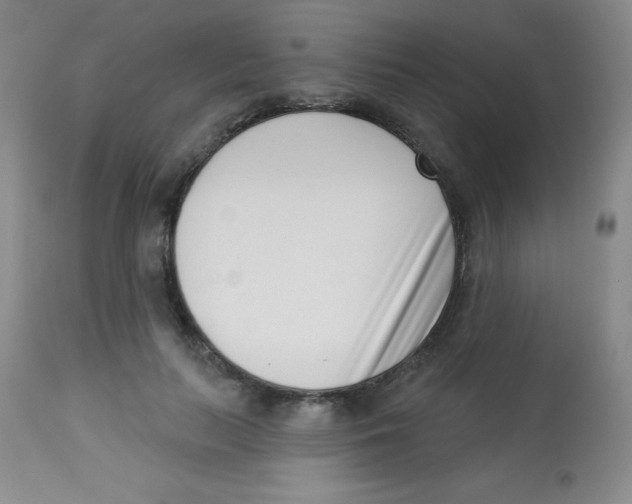 X0000113740647200910211125