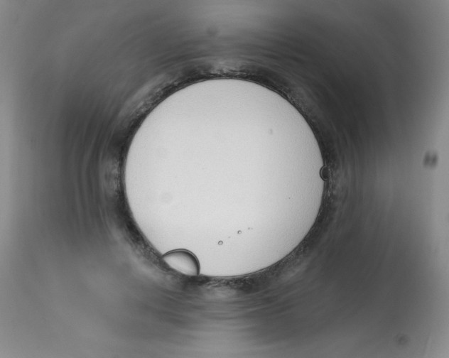 X0000113740648200910211125