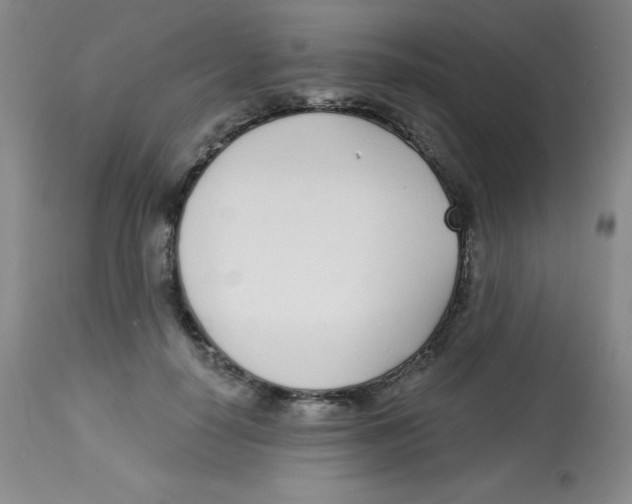 X0000113740650200910211125