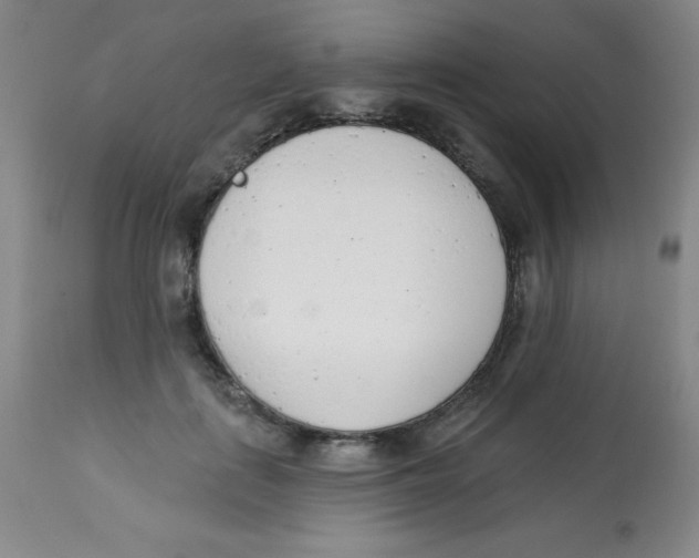 X0000113740651200910211125