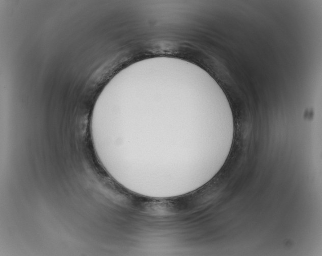 X0000113740652200910211125
