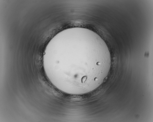 X0000113740653200910211126
