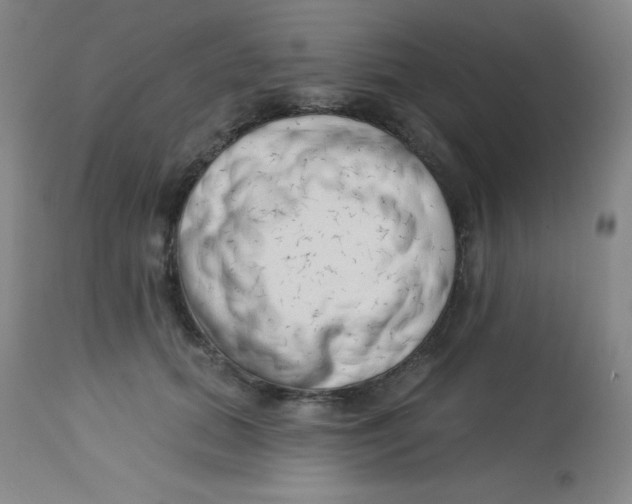 X0000113740655200910211126