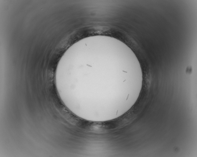 X0000113740657200910211126