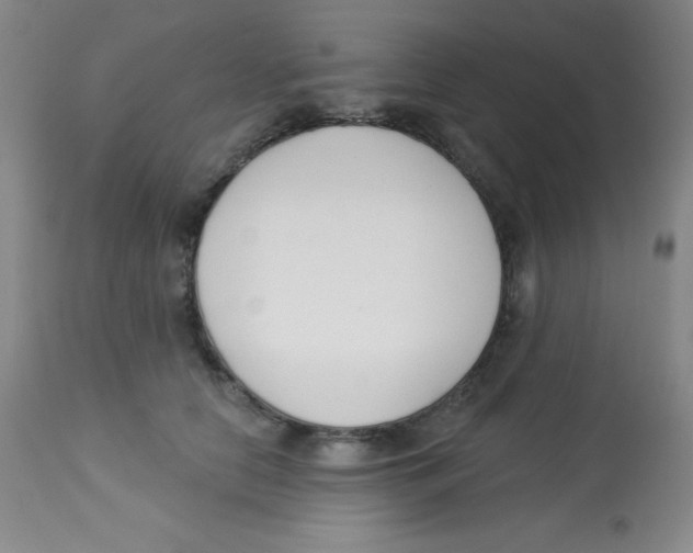 X0000113740658200910211126