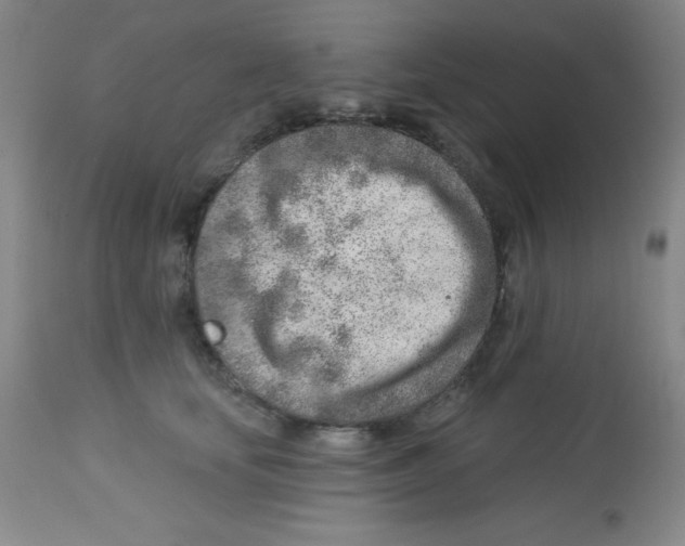 X0000113740659200910211126