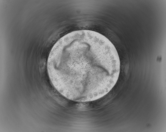 X0000113740660200910211126