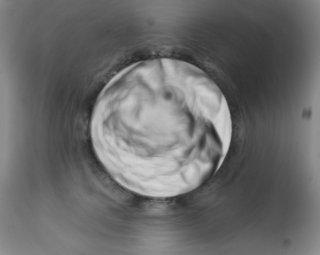 X0000113740661200910211126