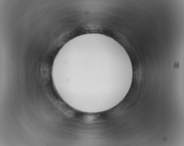 X0000113740662200910211126
