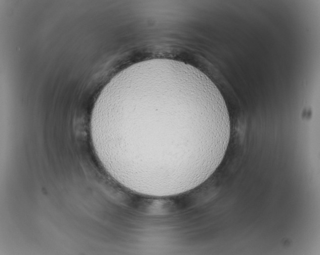 X0000113740663200910211126