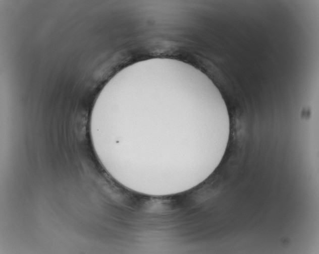 X0000113740664200910211126