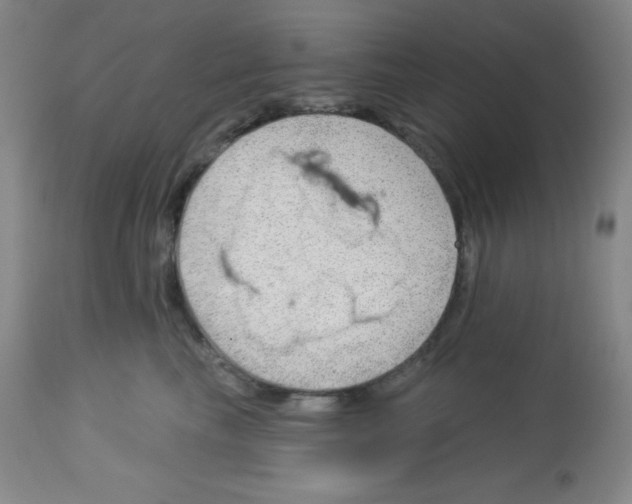 X0000113740665200910211126