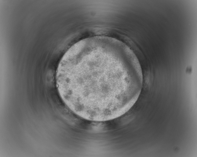 X0000113740667200910211126