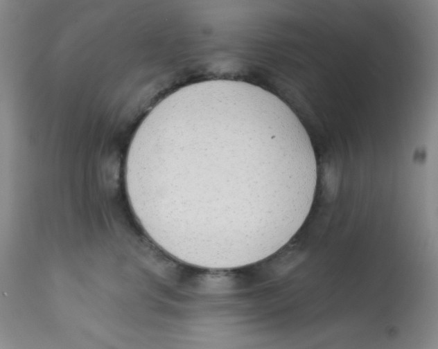 X0000113740668200910211126
