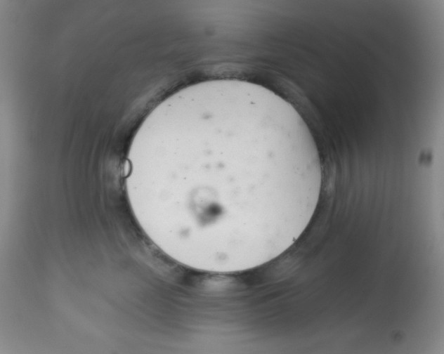 X0000113740669200910211126
