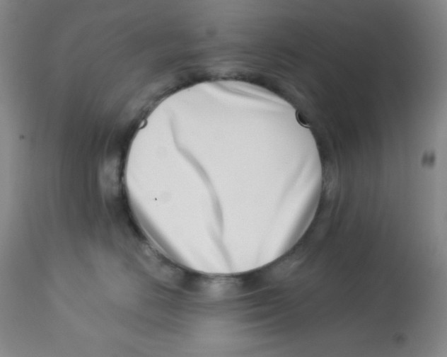 X0000113740670200910211126