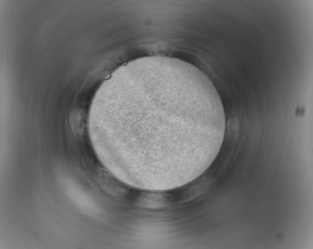 X0000113740671200910211126