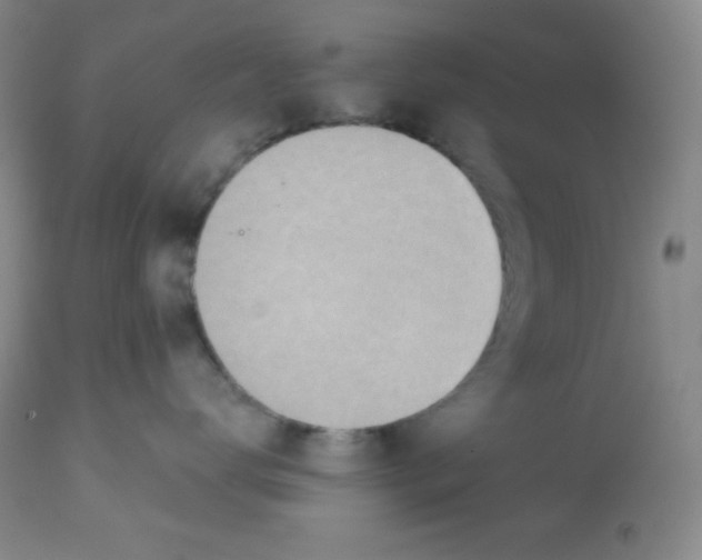 X0000113740672200910211126