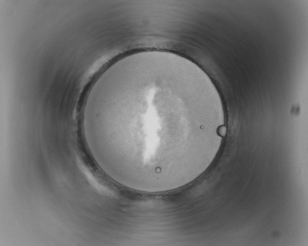 X0000113740674200910211125