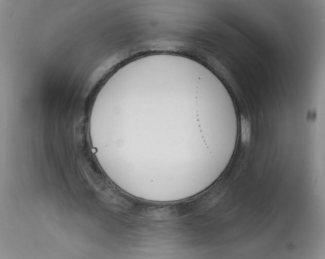 X0000113740675200910211125