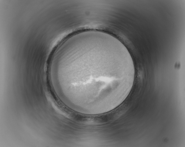 X0000113740678200910211125