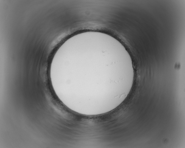 X0000113740679200910211125