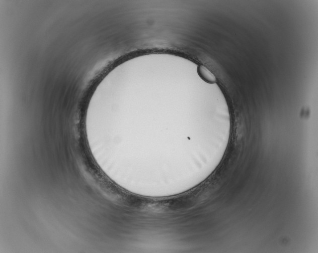 X0000113740680200910211125