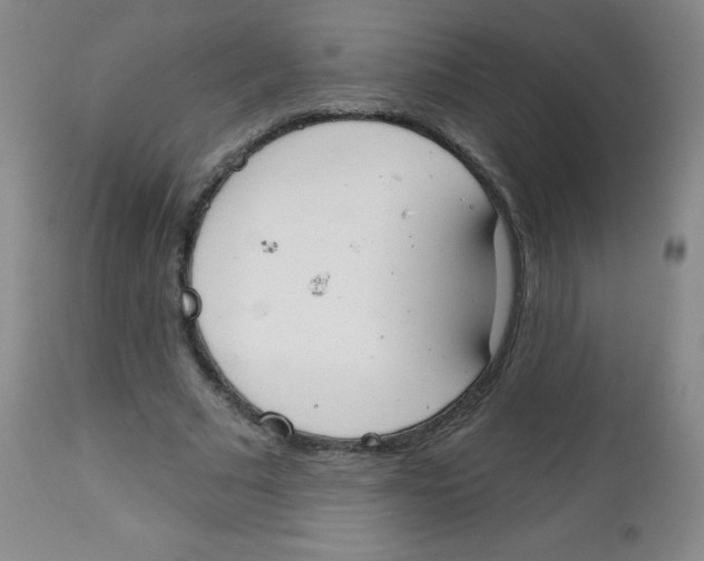 X0000113740681200910211125